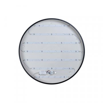 Потолочный светодиодный светильник Loft IT Axel 10002/48 black