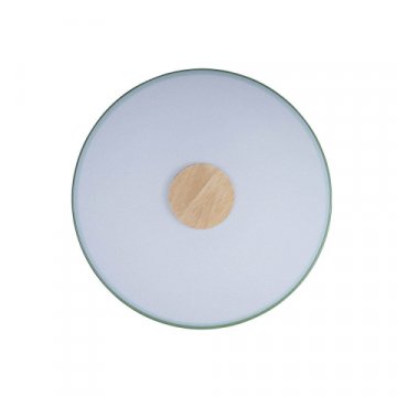 Потолочный светодиодный светильник Loft IT Axel 10003/24 green