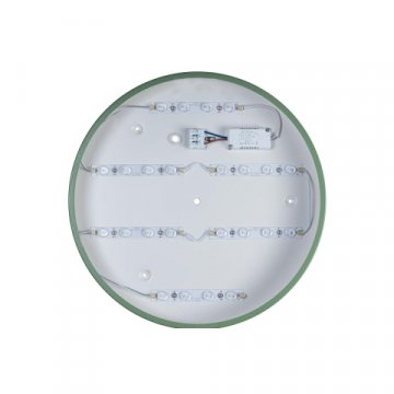 Потолочный светодиодный светильник Loft IT Axel 10003/24 green