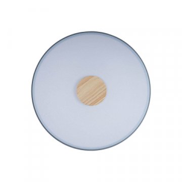 Потолочный светодиодный светильник Loft IT Axel 10003/24 grey