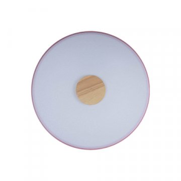 Потолочный светодиодный светильник Loft IT Axel 10003/24 pink