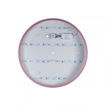 Потолочный светодиодный светильник Loft IT Axel 10003/24 pink