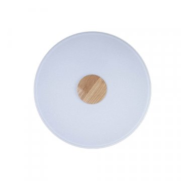 Потолочный светодиодный светильник Loft IT Axel 10003/24 white