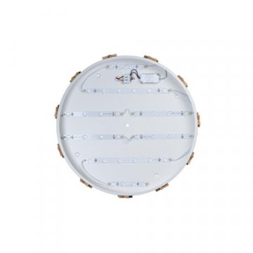 Потолочный светодиодный светильник Loft IT Axel 10006/36 white