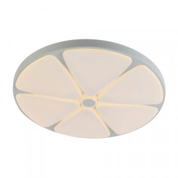 Потолочный светодиодный светильник Profit Light 2169/450 WH+CR