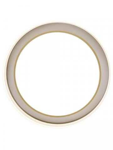 Потолочный светодиодный светильник Zortes Adel ZRS.1200.01