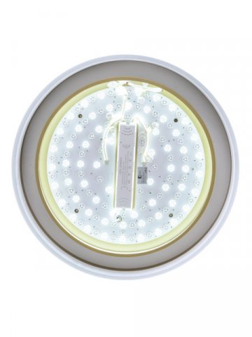 Потолочный светодиодный светильник Zortes Adel ZRS.1200.01