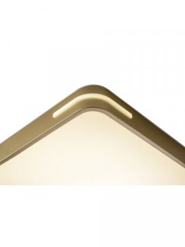 Потолочный светодиодный светильник Zortes Gabby ZRS.1215.04