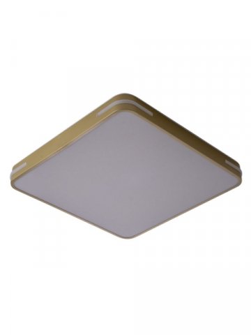 Потолочный светодиодный светильник Zortes Gabby ZRS.1215.04