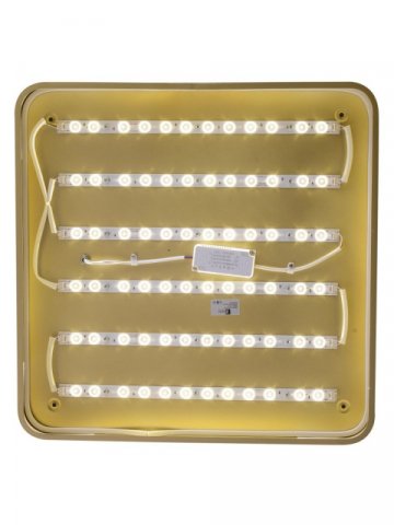 Потолочный светодиодный светильник Zortes Gabby ZRS.1215.04