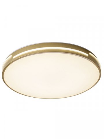 Потолочный светодиодный светильник Zortes Gabby ZRS.90610.50