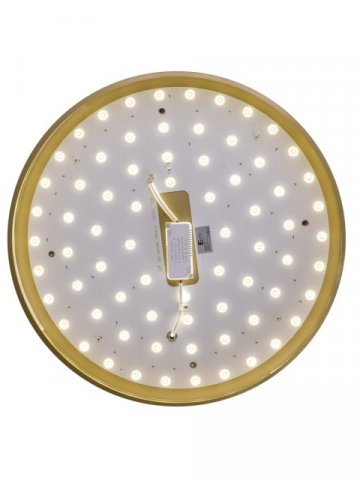 Потолочный светодиодный светильник Zortes Gabby ZRS.90610.50