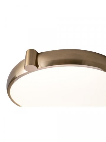 Потолочный светодиодный светильник Zortes Gimpel ZRS.1209.17