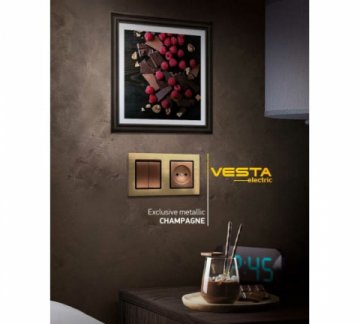 Розетка LAN/USB Vesta-Electric Exclusive Champagne Metallic шампань FRZ00050502BSH