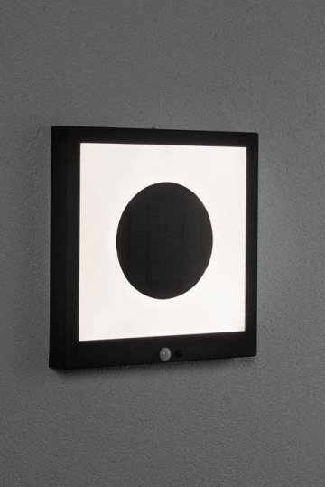 Светильник на солнечных батареях Paulmann Taija 94263