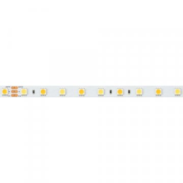 Светодиодная лента Arlight 14,4W/m 60LED/m 5060SMD холодный/теплый белый 5M RT-B60-10mm 24V White-MIX 025213(1)