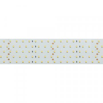 Светодиодная лента Arlight 36W/m 350LED/m 2835SMD теплый белый 2,5M 020390(2)