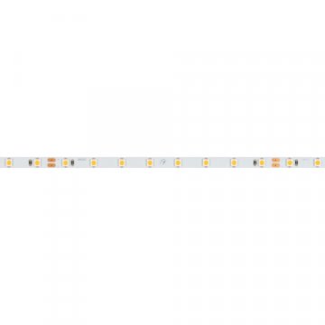 Светодиодная лента Arlight 5W/m 80LED/m 2835SMD холодный белый 5M RT-A80-5mm 24V Cool 8K 037799