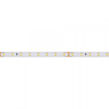 Светодиодная лента Arlight RT-A80-8mm 24V Day4000 024512(2)