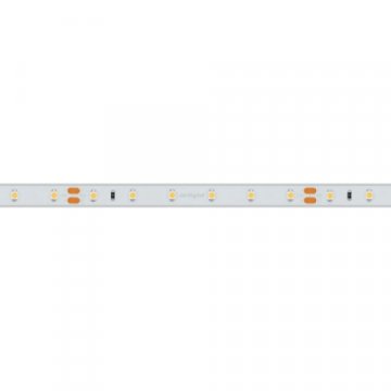 Светодиодная влагозащищенная лента Arlight 4,8W/m 60LED/m 2835SMD теплый белый 50M 024565(2)