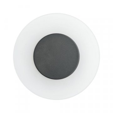 Уличный настенный светодиодный светильник Paulmann Wandl 94409