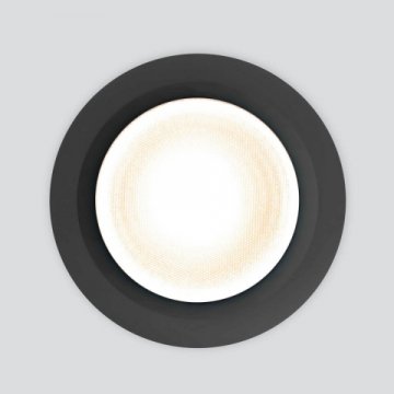 Уличный светодиодный светильник Elektrostandard Light Led 3003 35128/U черный a058922