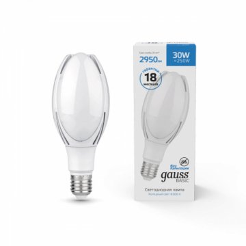 Лампа светодиодная Gauss E40 30W 6500К матовая 11834332