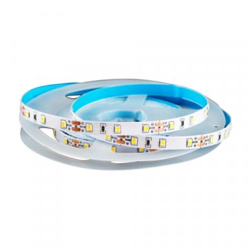 Лента светодиодная True Energy Standard 12V-2835-60D, 4,8W/м, холодный белый, 5 м 16004