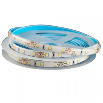 Лента светодиодная True Energy Street 12V-2835-60D, 4,8W/m, холодный белый, 5 м 16010