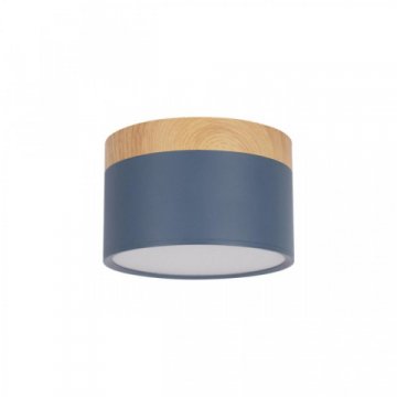 Накладной светодиодный светильник Loft IT Grape 10162 Blue