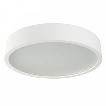 Настенный потолочный светильник Kanlux JASMIN 470-W/M 23128