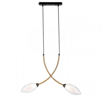 Подвесная люстра Indigo Fiore 13001/2P Black V000140