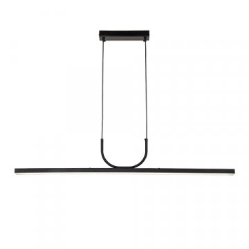 Подвесная светодиодная люстра Favourite Raya 4096-2P