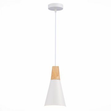 Подвесной светильник Evoluce MODICA SLE125153-01