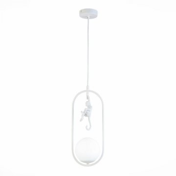 Подвесной светильник Evoluce Tenato SLE115123-01