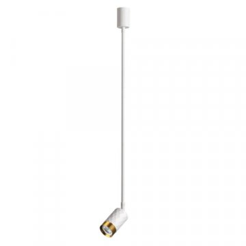 Подвесной светильник Odeon Light Ad Astrum 4350/1C