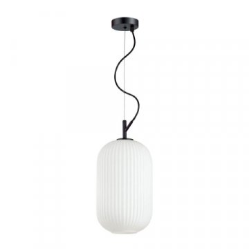 Подвесной светильник Odeon Light Pendant Roofi 4751/1