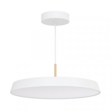 Подвесной светодиодный светильник Arlight Sp-Elegant-R500-37W Day4000 033924