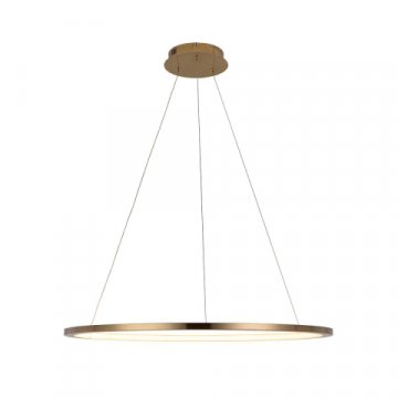 Подвесной светодиодный светильник Loft IT Ring 10014L