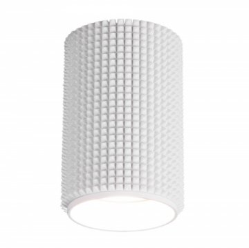 Потолочный светильник Elektrostandard Spike DLN112 GU10 белый a048144