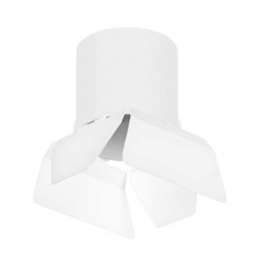 Потолочный светильник Lightstar Rullo (213486+202486) R3486486