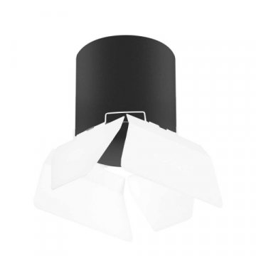 Потолочный светильник Lightstar Rullo (213487+202486) R3487486