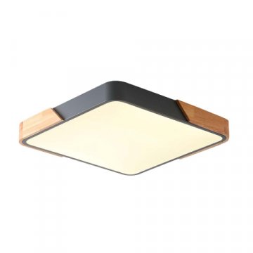 Потолочный светильник Zortes ALBERRO ZRS.01288.48