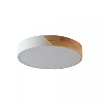 Потолочный светильник Zortes ALBERRO ZRS.01289.72