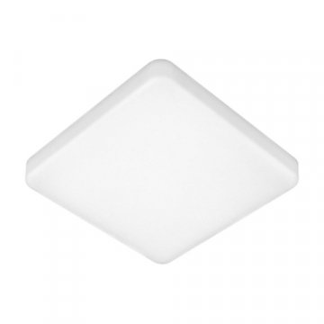 Потолочный светодиодный светильник Elektrostandard DLS043 10W 4200K a047941