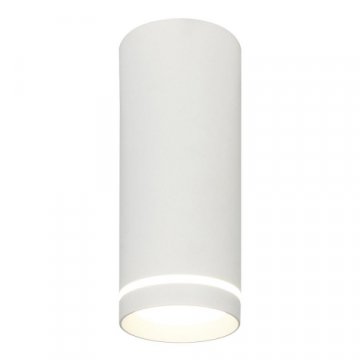 Потолочный светодиодный светильник Escada 20009SMU/02LED SWH