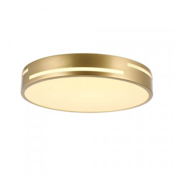 Потолочный светодиодный светильник F-Promo Pall 2745-1C