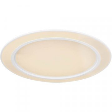 Потолочный светодиодный светильник Globo Dahla 48549-60