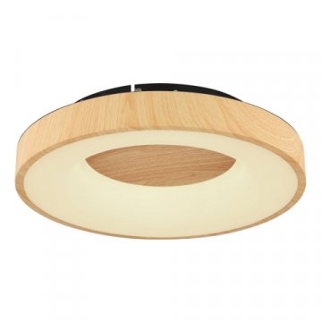 Потолочный светодиодный светильник Globo Jolli 41758-30