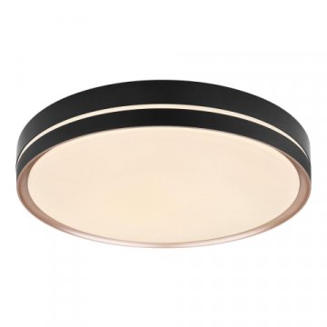 Потолочный светодиодный светильник Globo Manni 41759-40